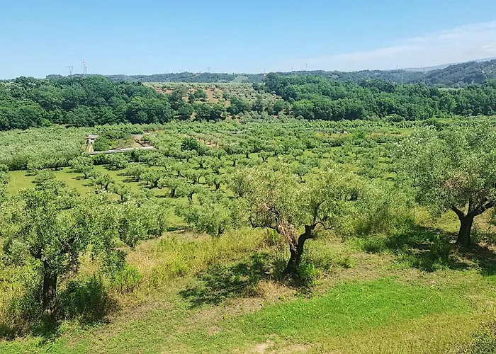 Villa In 8 Ettari Di Campagna, A 20\' Dal Mare