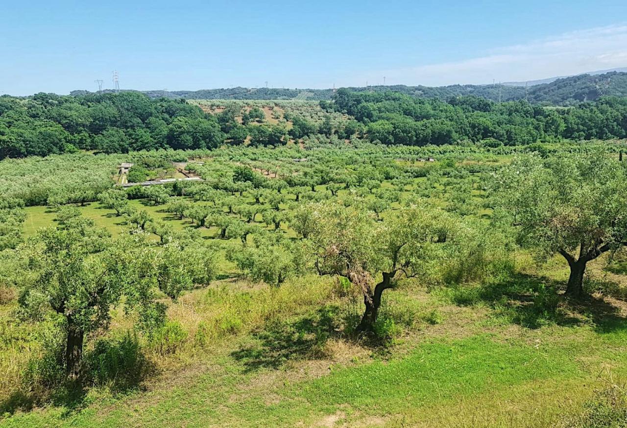 In 8 Ettari Di Campagna, A 20' Dal Mare
