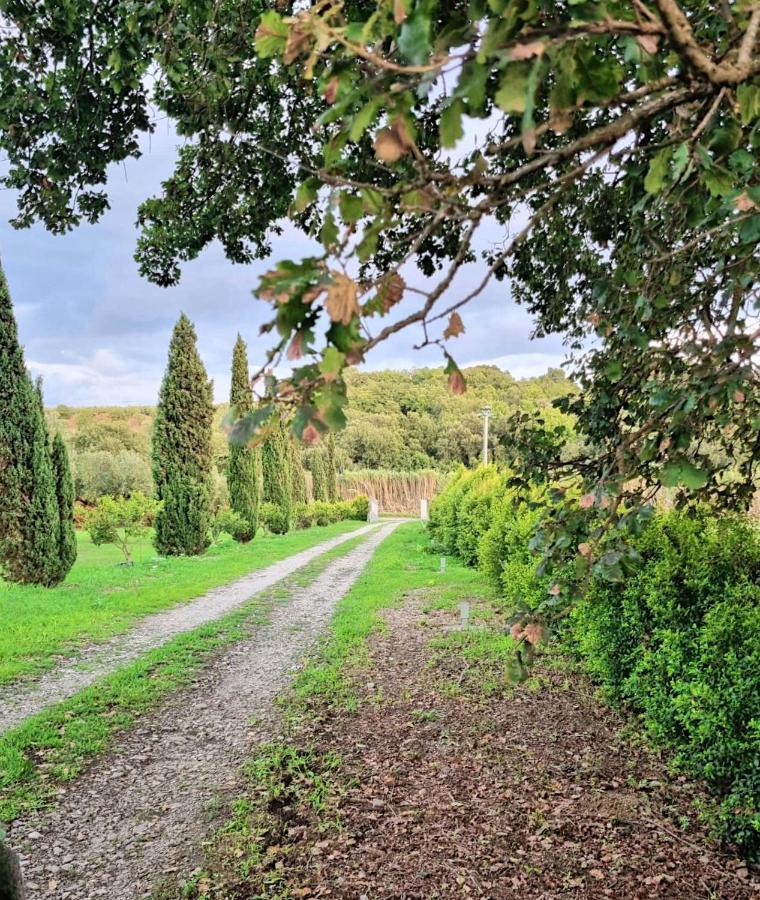 In 8 Ettari Di Campagna, A 20' Dal Mare Holiday home